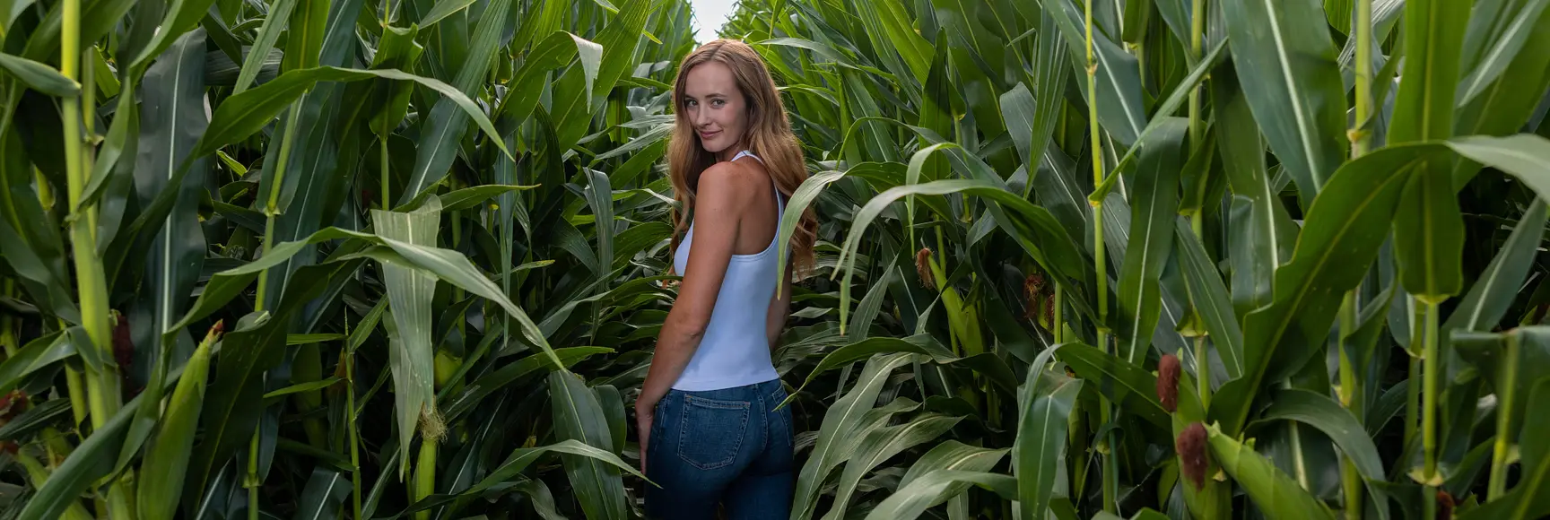 A model in a cornfield in a white top and blue jeans 